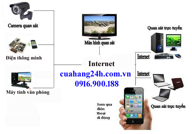 Giới thiệu chung